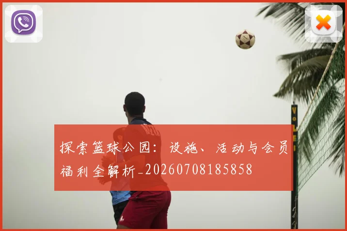 探索篮球公园:设施、活动与会员福利全解析_20260708185858